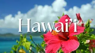 Hawaiian Paradise: A Traveler’s Dream