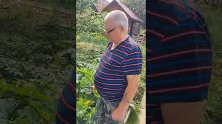 лень творит чудеса
