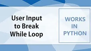 Controlling the While Loop Exit through User Input