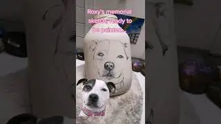 R.I.P Roxy 💔 Back soon with Roxy's memorial urn 💗 Pet portrait Artist 🐾 