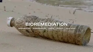 3/11 Bioremediation (iGEM 2023 Grand Jamboree)