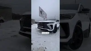 Старый немец или новый китаец 