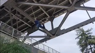 cat hang to grapple swing in the wild