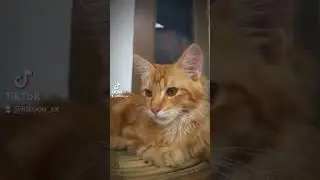 mau di jauhin apa enggak nih