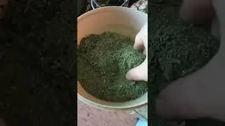 Мука из лебеды и крапивы