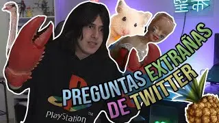 HAMSTERS, BARBIES Y PLATANOS RADIACTIVOS? | Preguntas EXTRAÑAS de TWITTER!