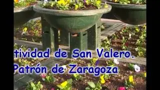 SAN VALERO PATRON DE ZARAGOZA