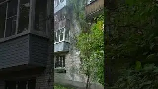 В Питере все растет очень бурно