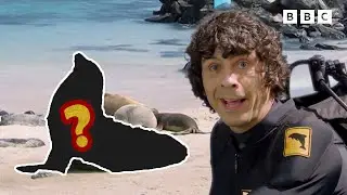 Exploring the Water! | Can You Guess the Underwater Animal? 💧 | Andy's Amazing Adventures