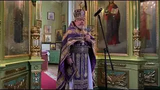 Исцеление бесноватого отрока. Слово почетного настоятеля прот. Виктора Петлюченко