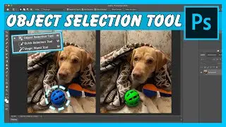 Object selection tool Photoshop CC - Tutorial