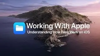 How to Use Apple's Files App on iOS13
