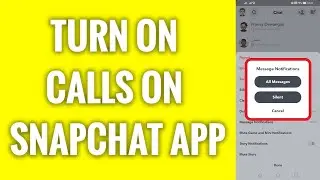 How To Turn On Calls On Snapchat App