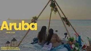 ARUBA TRAVEL VLOG: Flamingo Beach, San Nicholas, Shopping, Surprise Picnic and More | JasandTee