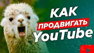 🦙 Продвижение видео на YouTube 2020, Как Набрать Просмотры и Всё о YouTube SEO