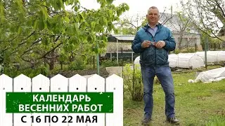 Дачные работы в мае: Что еще нужно успеть сделать?