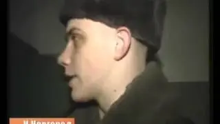 Солдат спасает кота   Солдат снимает кота с дерева