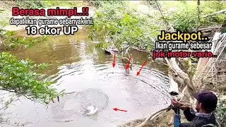 Ngeri..!! pesta strike mancing ikan gurame disungai #mancingikangurame #umpanjangkrik #hokimancing