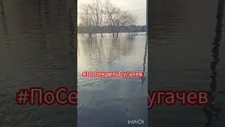03.04.2024Город Пугачев.Разлив, Река большой Иргиз