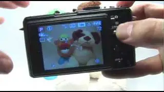 Panasonic DMC-LX3: Spot Meter