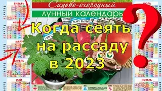Благоприятные дни для посева томатов и перцев в 2023 году, лунный календарь садовода