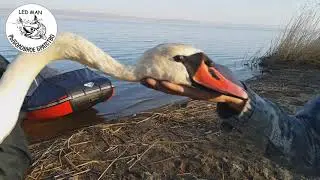 Чистка Шершнёвского водохранилища от сетей