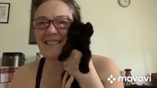 Как вас волнуют мои коты и муж. Поговорим?