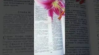 Непостижимые вещи для Соломона👑Притчи 