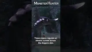 Meet the Chameleos | Monster Hunter Ecology