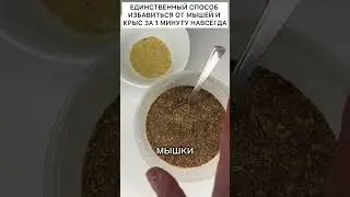 Способ как быстро избавиться от мышей и крыс навсегда 