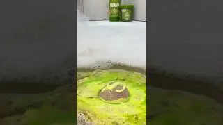 Как можно купаться в БОЛОТЕ?! 