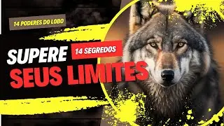 MOTIVAÇÃO ANIMAL - SEGREDOS DOS LOBOS REVELADOS - Compaixão - Coragem - Respeito...