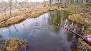 РЫБАЛКА ЗАКОНЧИЛАСЬ ДРАКОЙ! Щука на воблеры весной