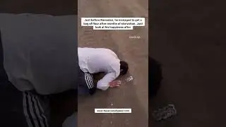 Alhamdu Lillah 🇵🇸