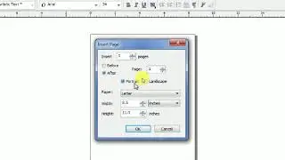 insert and delete a page in coreldraw how to insert new page | how to delete new page