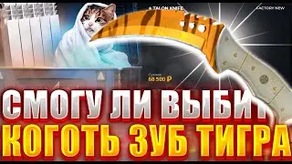 СМОГУ ЛИ Я ВЫБИТЬ КОГОТЬ ЗУБ ТИГРА С 10000 РУБЛЕЙ НА CASE4REAL ? НЕ КЕЙС БАТЛ