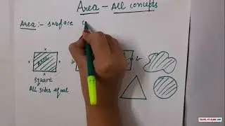 How to Calculate Area of a Square and Rectangle 