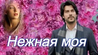 ПЁТР  ЛЫСЕНКО - НЕЖНАЯ МОЯ! ОЧЕНЬ КРАСИВАЯ ПЕСНЯ О ЛЮБВИ.