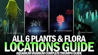 All 6 Secret Plants & Flora Locations Guide - Aquarium Vivarium Triumph (Twilight, Midnight & Abyss)