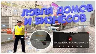 ЛОВЛЯ ДОМОВ И БИЗНЕСОВ ПО ГОСУ | Rodina RP - GTA CRMP