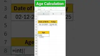Calculate Your AGE in SECONDS with Excel!
