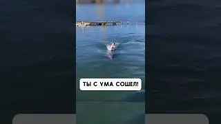 Этот гений напугал свою маму 
