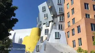Центр Стата Массачусетского технологического института.