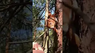 Выходной с Кариной