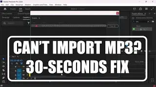 Fix bug: Can't import mp3 file into Adobe Premiere Pro