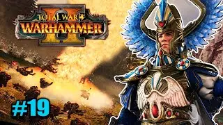 ИДЕАЛЬНАЯ КОНФЕДЕРАЦИЯ - Total War: WARHAMMER II. ИВРЕССЕ. ЭЛЬТАРИОН #19