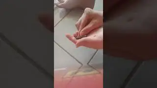 (Long) Removing the sticker from a Not For Resale game cartridge
