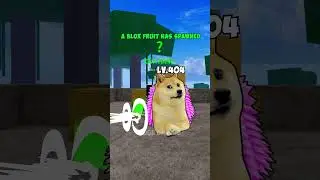 Toxic Bloxfruits 💢| Doge Gaming