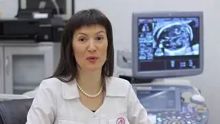 «НЕЙРОСОНОГРАФИЯ ПЛОДА ЭКСПЕРТНОГО УРОВНЯ - ВЫ МОЖЕТЕ ЭТО СДЕЛАТЬ!»