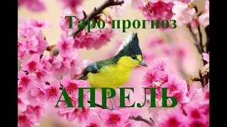 РАК. Часть 1. АПРЕЛЬ 2024 года. ТАРО прогноз.  События. Татьяна Шаманова.